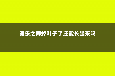 雅乐之舞掉叶子怎么办 (雅乐之舞掉叶子了还能长出来吗)