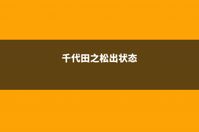 千代田之松缀化了怎么办 (千代田之松出状态)