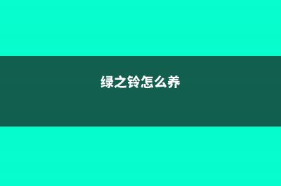 绿之铃徒长了怎么办 (绿之铃怎么养)