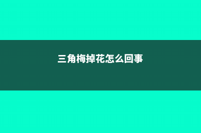 三角梅掉花掉叶子怎么办 (三角梅掉花怎么回事)